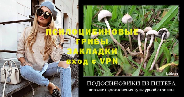 героин Абаза
